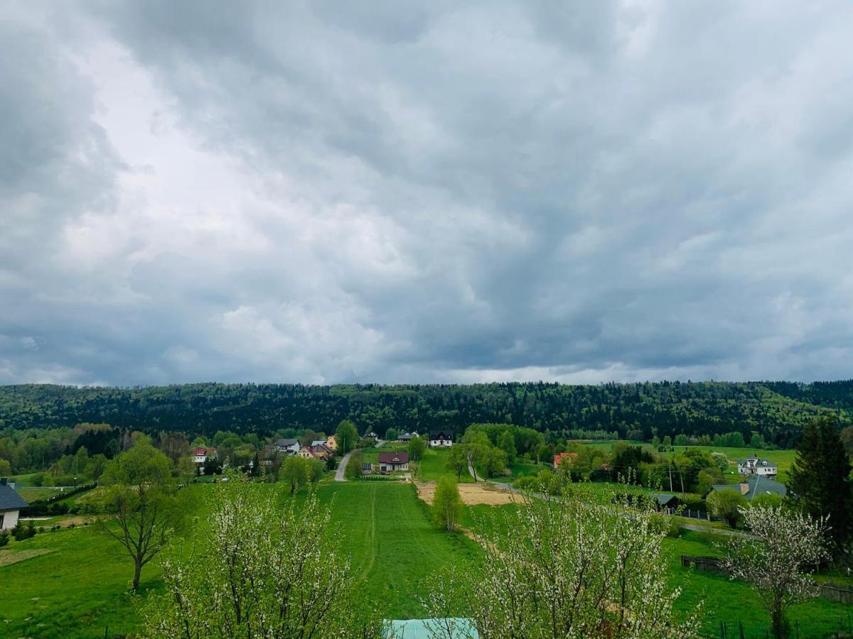 Apartamenty Rownia 2 Ustrzyki Dolne Esterno foto